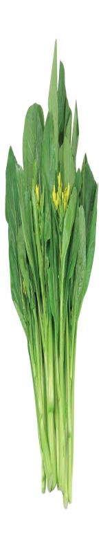 Cải ngọt bông (Cải ngồng)