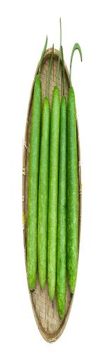 Bầu