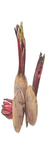 Củ dền